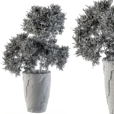 Dry plants 32 - Dried Plant — Вид 3