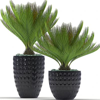 PLANTS 39 — Ver 3