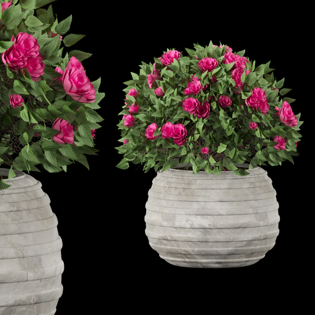collection flowering bush vol 16 — Скачать