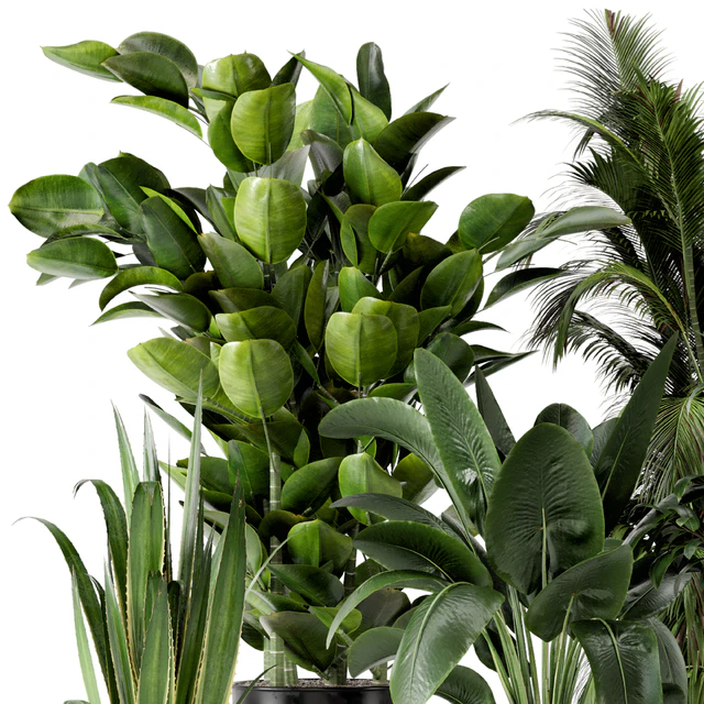 Indoor Plants in Ferm Living Bau Pot Large - Set 290 — Скачать