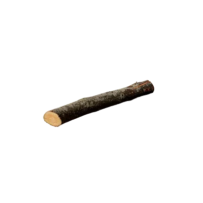 tree debris 018 — Скачать