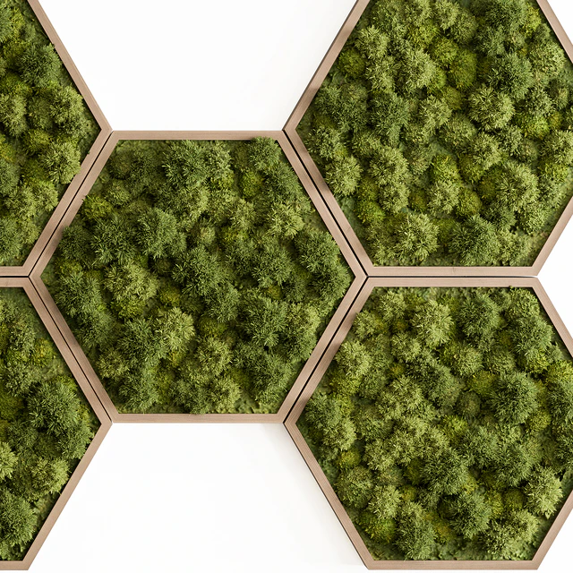 Hexagon Green Wall Panel - Set 79 — Descargar