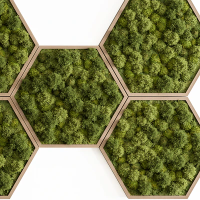 Hexagon Green Wall Panel - Set 79 — Ver 4
