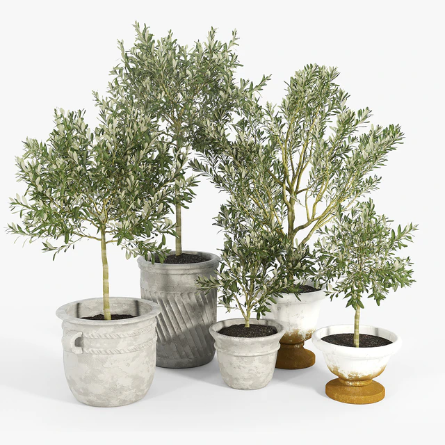 Eclectic Villa Planters — Descargar