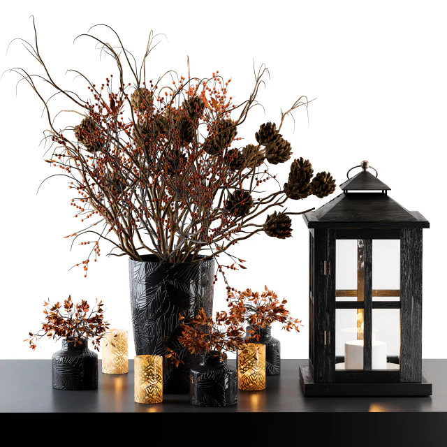 Decorative Set Berry and Branches with lantern — Скачать