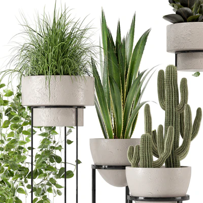 Indoor Plants in rusty Concrete Pot on Metal Shelf - Set 327 — Ver 6