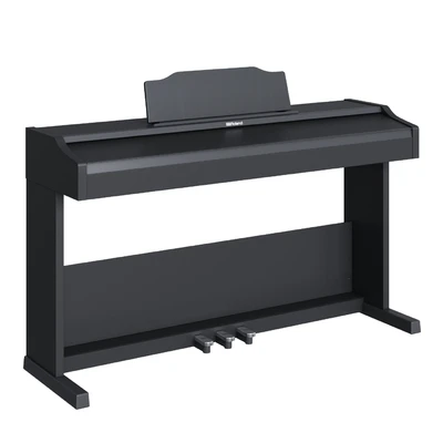 Roland RP 102 — Ver 5