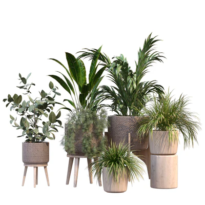 plant in vase collection set 214 — Ver 7