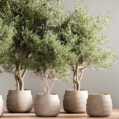 indoor plant stand 40 — Ver 4