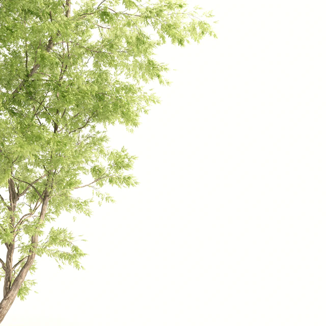 jam tree — Descargar