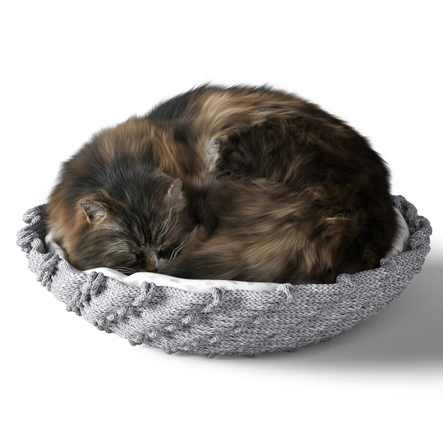 Cat with Pillow — Скачать
