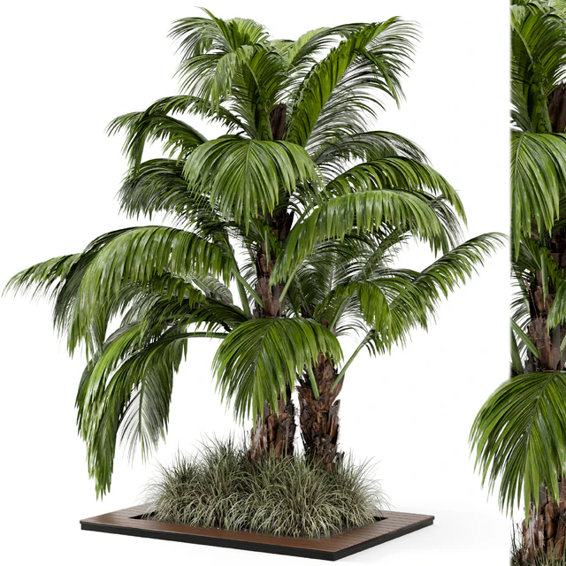 Outdoor Garden set bush and Tree - Garden Set 331 — Скачать