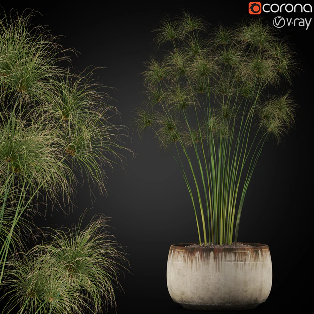 Plants collection 257 — Descargar