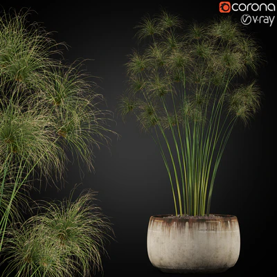 Plants collection 257 — Descargar