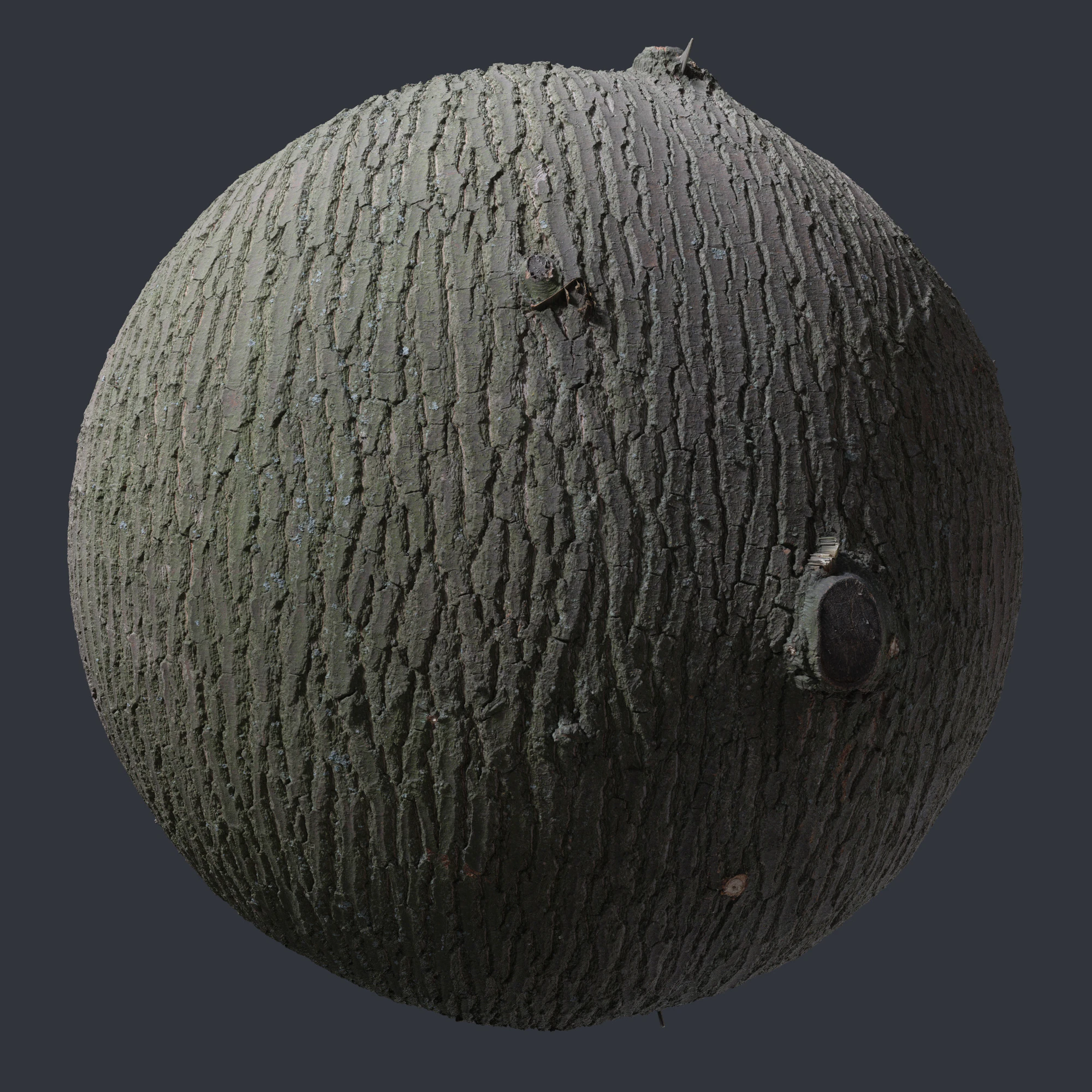 oak bark 006 — Скачать