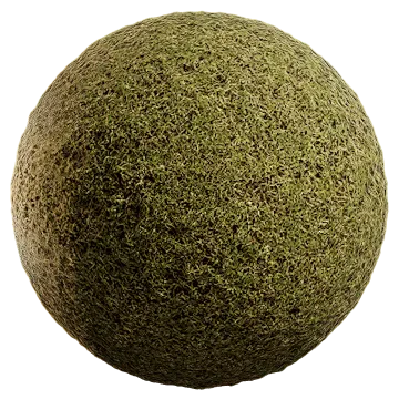 uncut grass 015 — Descargar