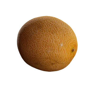 melon 002 — Скачать