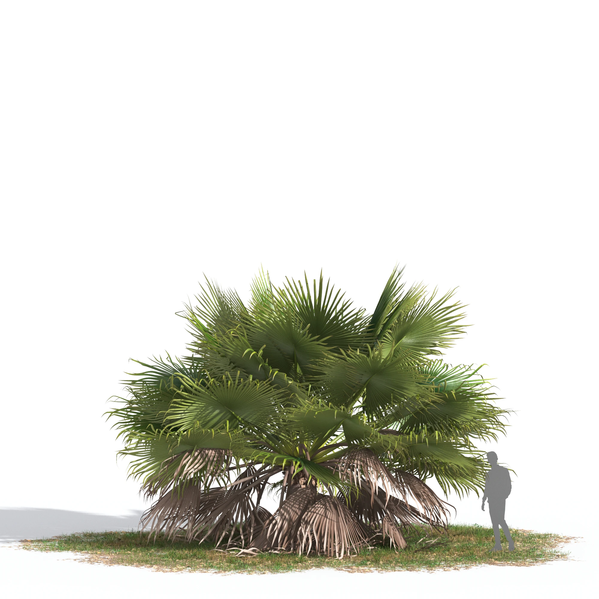 050 — Download