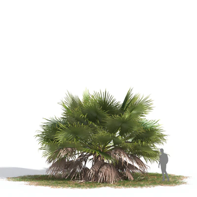 050 — download