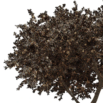 fruit trees Orange and apple — Вид 4