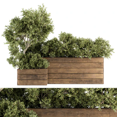 Outdoor Plants tree in Wood Box - Set 154 — Ver 4