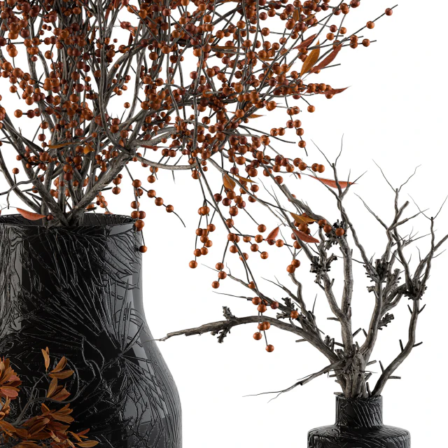 Bouquet Set 11 - Dried Branch and Berry — Скачать