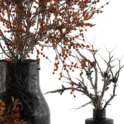 Bouquet Set 11 - Dried Branch and Berry — Вид 5