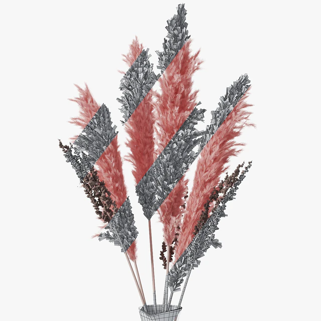 Pampas grass 04 — Descargar
