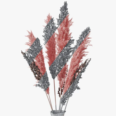 Pampas grass 04 — Ver 5