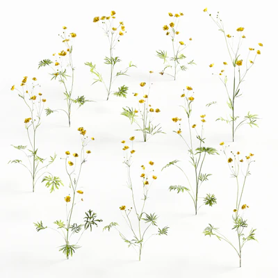 flowers and weeds 009 — Скачать