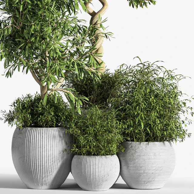Indoor Plant Set 12 — Скачать