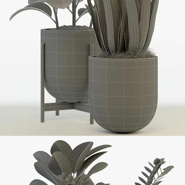 Plants collection 75 Modernica pots — Скачать