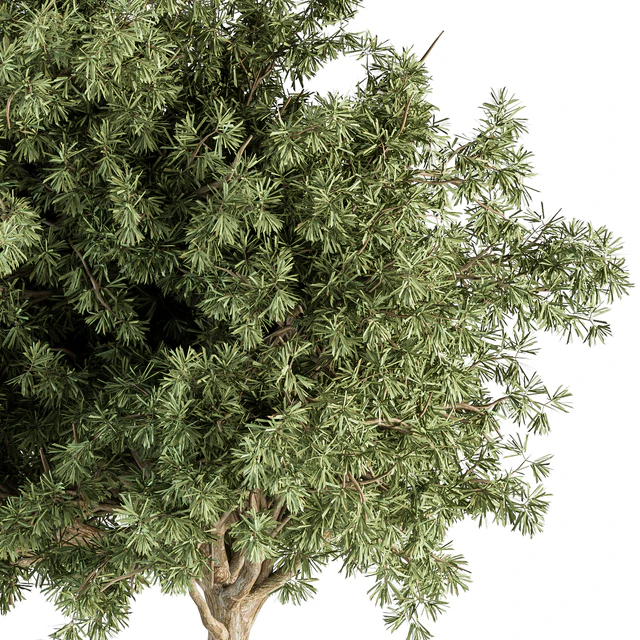Small Tree Green Maple Needle - Set 71 — Descargar