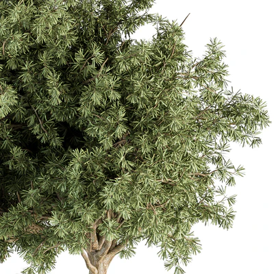 Small Tree Green Maple Needle - Set 71 — Ver 5