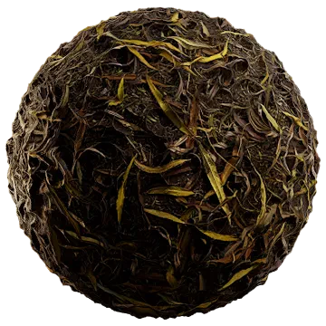 dried leaves 012 — Скачать