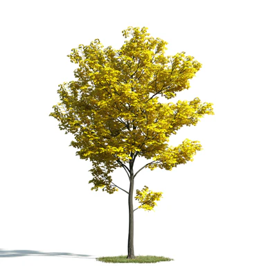 030 — Скачать