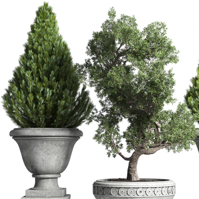 Collection Outdoor plant 44- tree thuja bonsai concrete old classic vase — Вид 4
