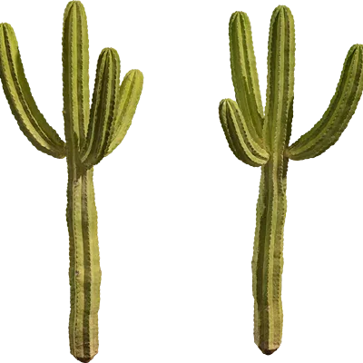 cactus 001 — download