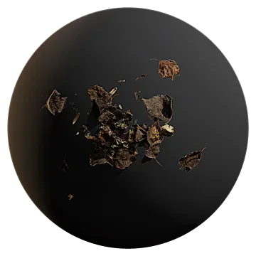 dried leaf pile 002 — Descargar