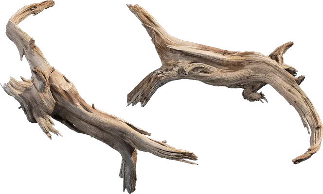 desert western tree log dead medium 004 — Descargar