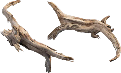 desert western tree log dead medium 004 — Descargar