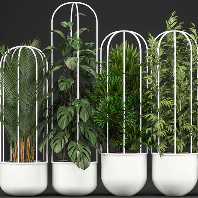 Plant collection 328. White pot, flowerpot, monstera, bamboo, dracaena, palm tree, indoor plants, Scandinavian style, metal flowerpot, bushes, thickets — Ver 3