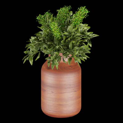 Collection plant vol 262 — Вид 5