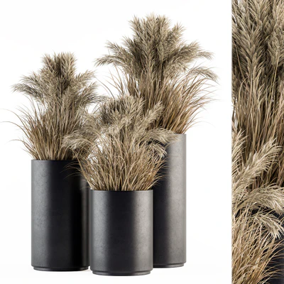 indoor Plant Set 224 -Big Pampas — Вид 1