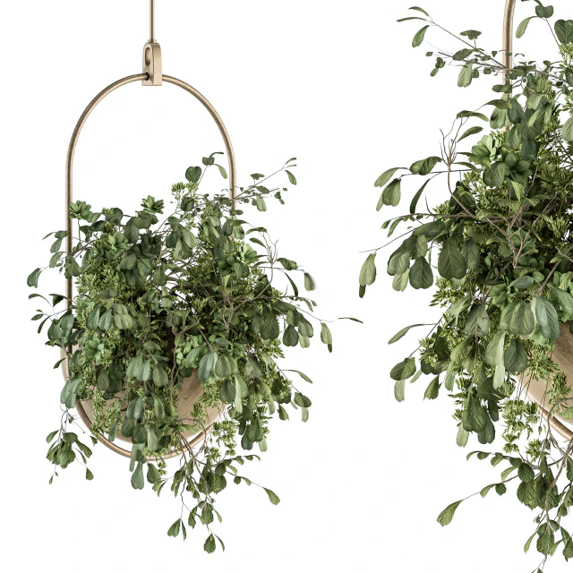 indoor Plant Set 283 - Hanging Plants — Descargar