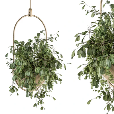 indoor Plant Set 283 - Hanging Plants — Ver 1