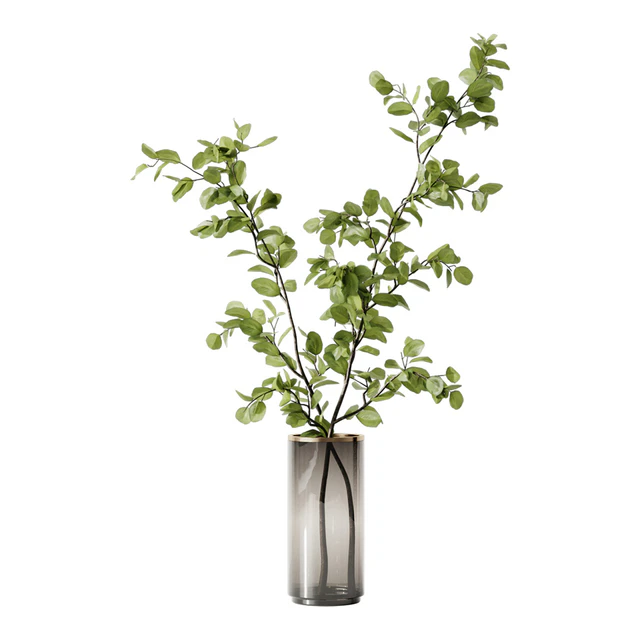 Plant 3 — Descargar