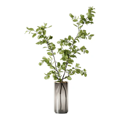 Plant 3 — Ver 5