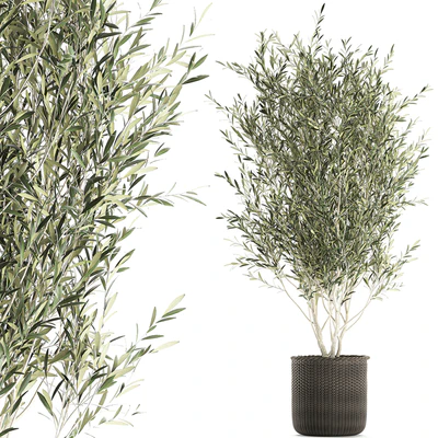 A beautiful little decorative olive tree in a wicker basket. Set 651. — Ver 1