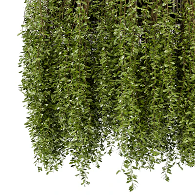 Indoor Hanging Plants in Metal Box - Set 192 — Ver 6